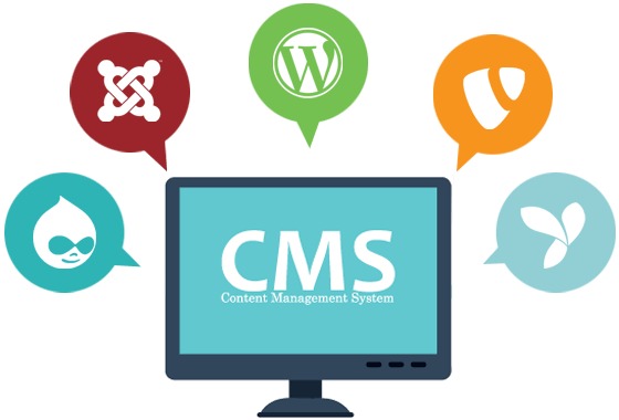 Alokha Technologies - CMS Technology Development Solutions, Hyderabad